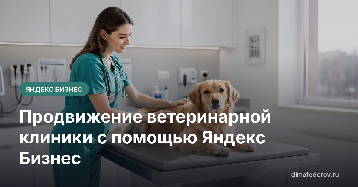 Продвижение ветеринарной клиники с помощью Яндекс Бизнес
